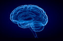 Crescem as evid&ecirc;ncias de uma remodela&ccedil;&atilde;o cerebral dram&aacute;tica durante a gravidez