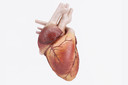 O que h&aacute; de novo em cardiologia: confira os principais avan&ccedil;os divulgados nos &uacute;ltimos meses